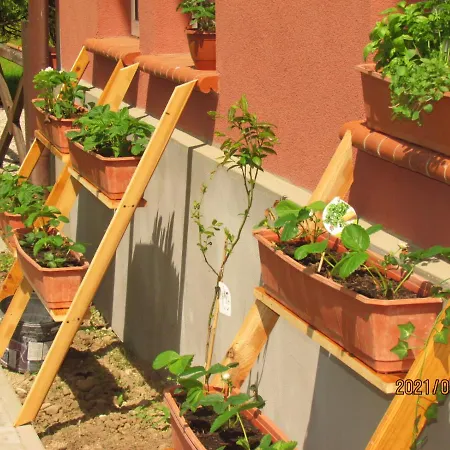 Fregata Wilkasy (Gizycko)