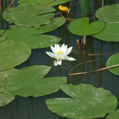 Fregata Bed & Breakfast 3*