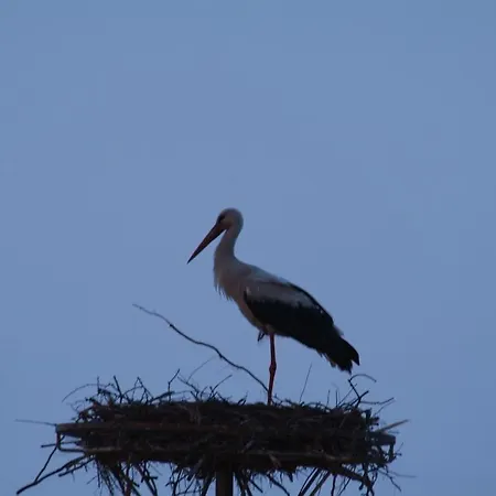 Fregata Frühstückspension 3*