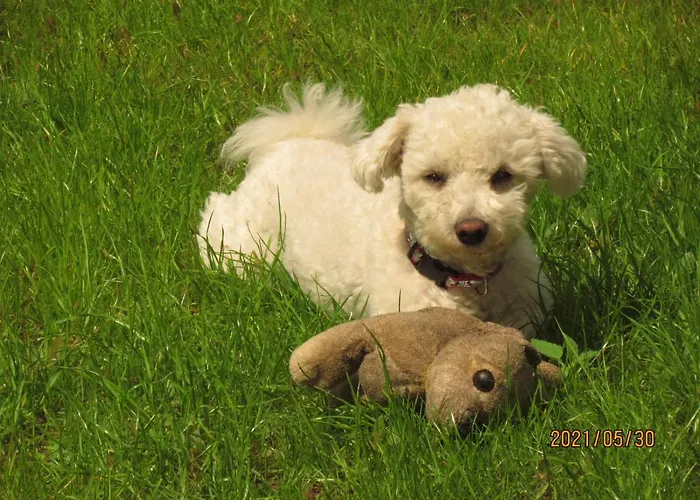 לינה וארוחת בוקר Fregata וילקסי