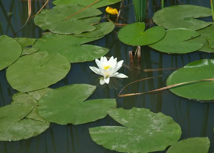 Fregata לינה וארוחת בוקר 3*