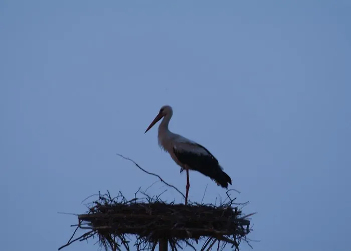 Fregata לינה וארוחת בוקר 3*